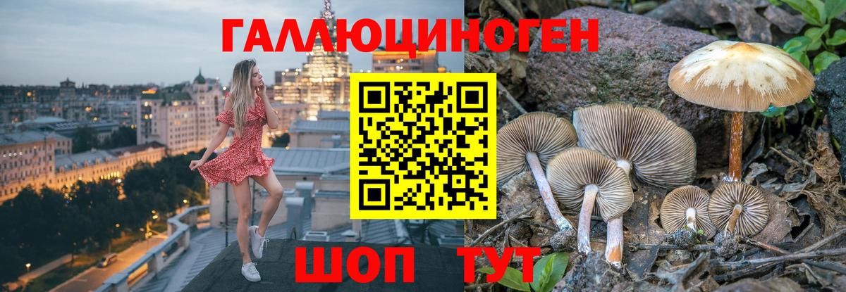 ГАШ Котельники